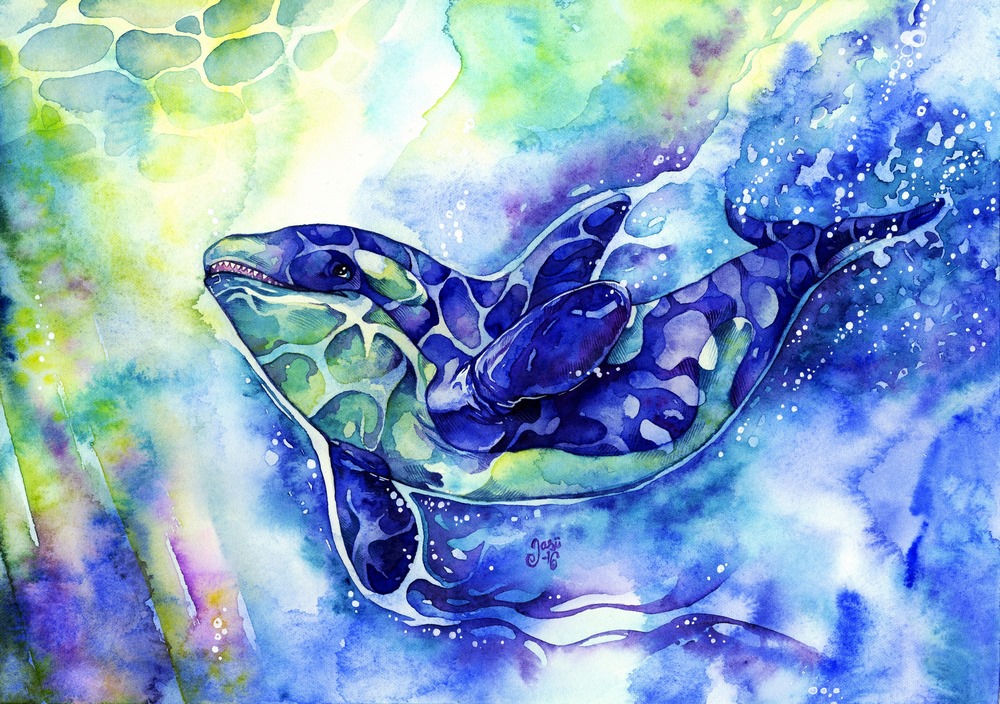 Original Painting - Orca